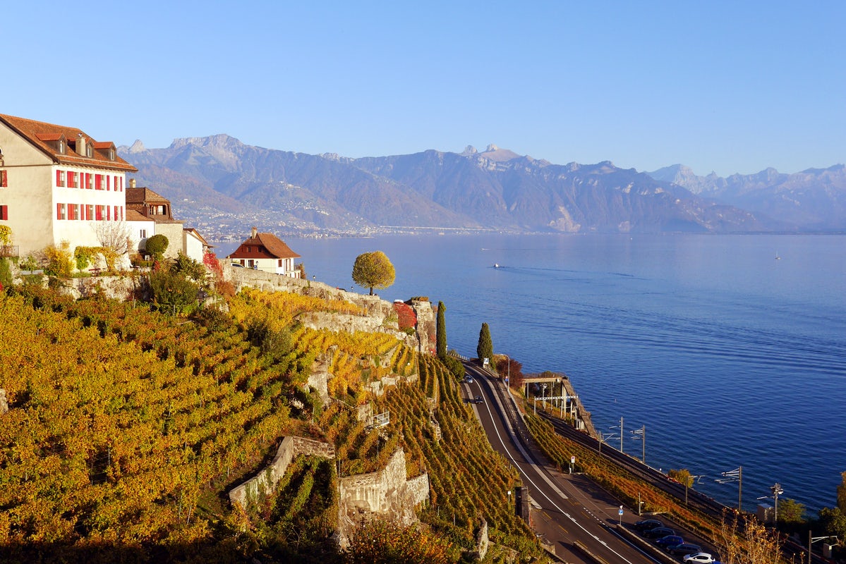 Lavaux Vineyards