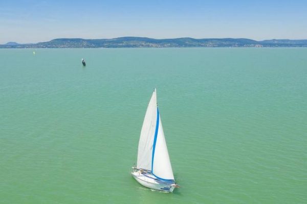balaton alga kékalga