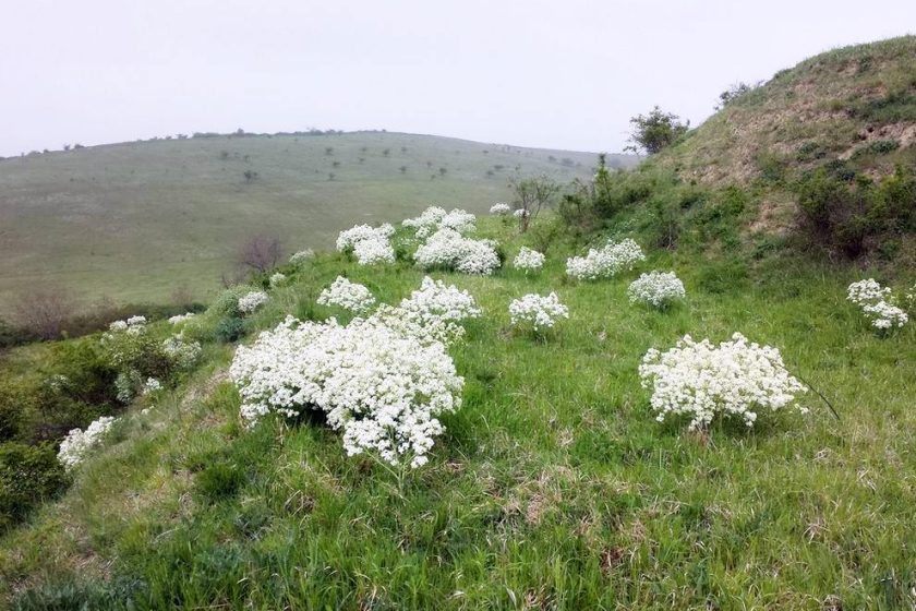 balatonkenesei Tátorján-tanösvény