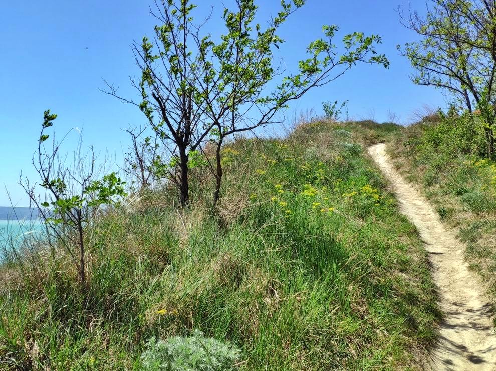 balatonkenesei Tátorján-tanösvény