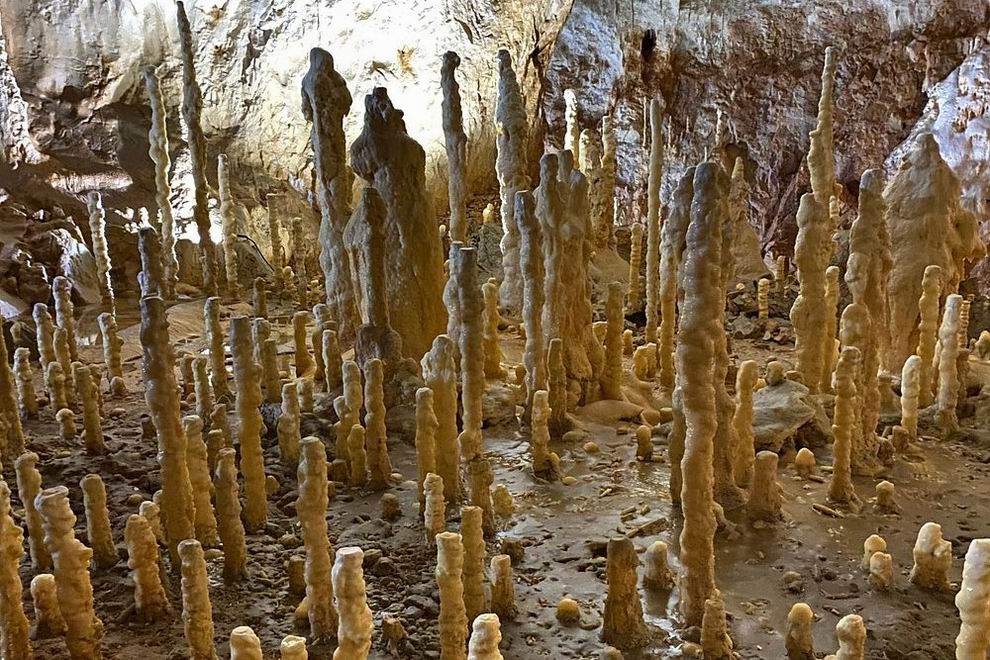 Bihar-hegység medve barlang 2