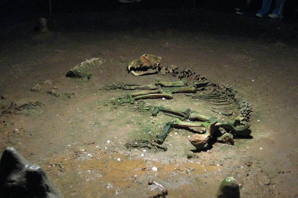 Bihar-hegység medve barlang 4