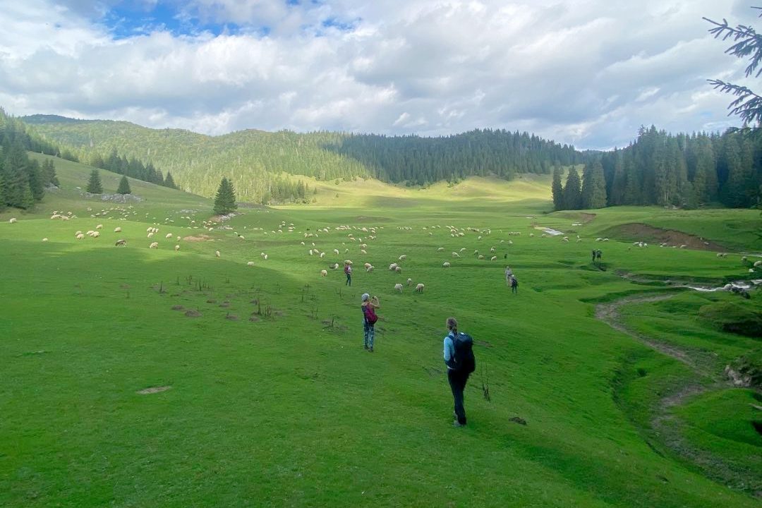 Bihar-hegység túra